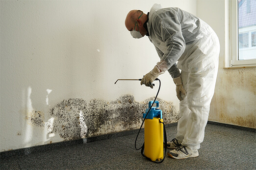 Mold Removal – How to Do it Yourself